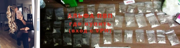 ешки Абинск