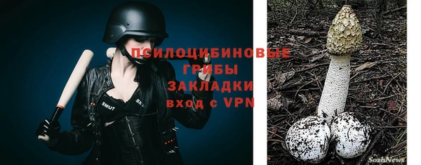 ешки Абинск